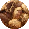 Reviewer Image